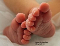 /album/fotogalerij-portfolio2/img-2405-jpg/